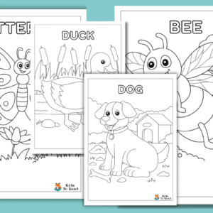 Garden Animal Colouring Book