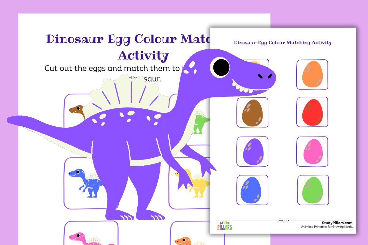 Dinosaur Egg Colour Matching Activity