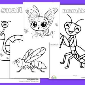 insect colouring pages