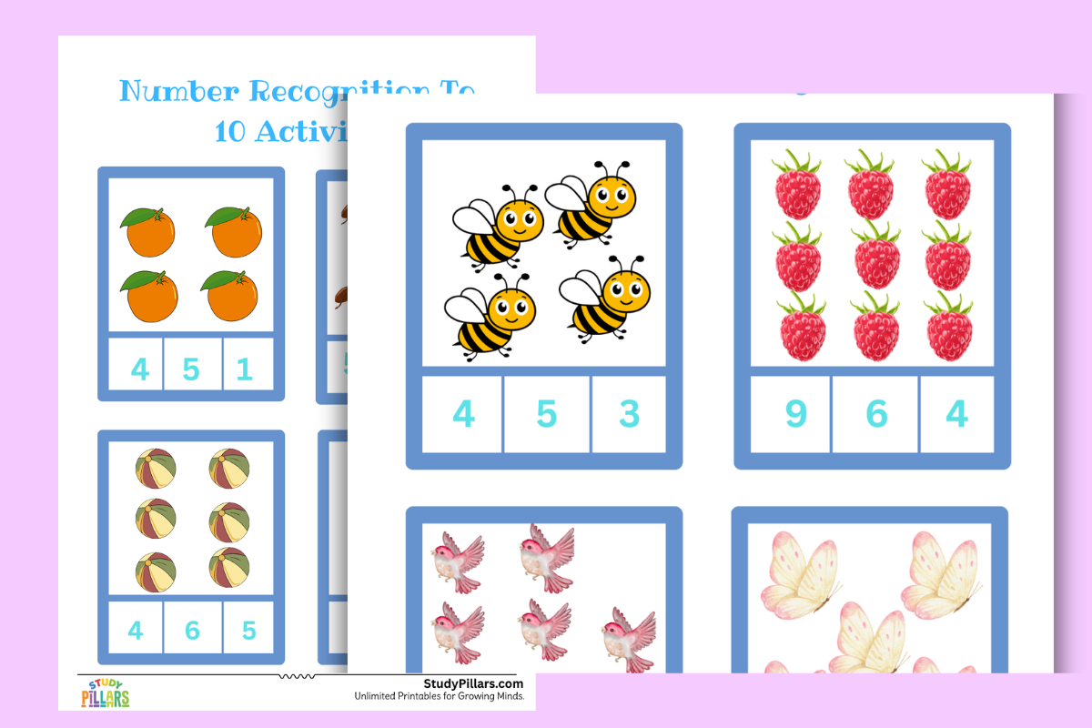 number recognition