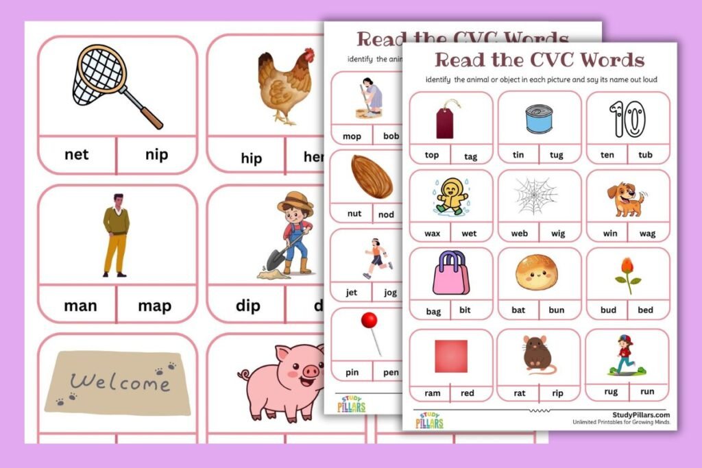 cvc words