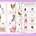 cvc words