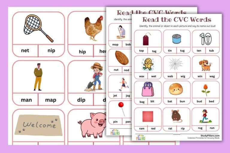 Read CVC Words and Name the Picture – Fun Phonics for Kids