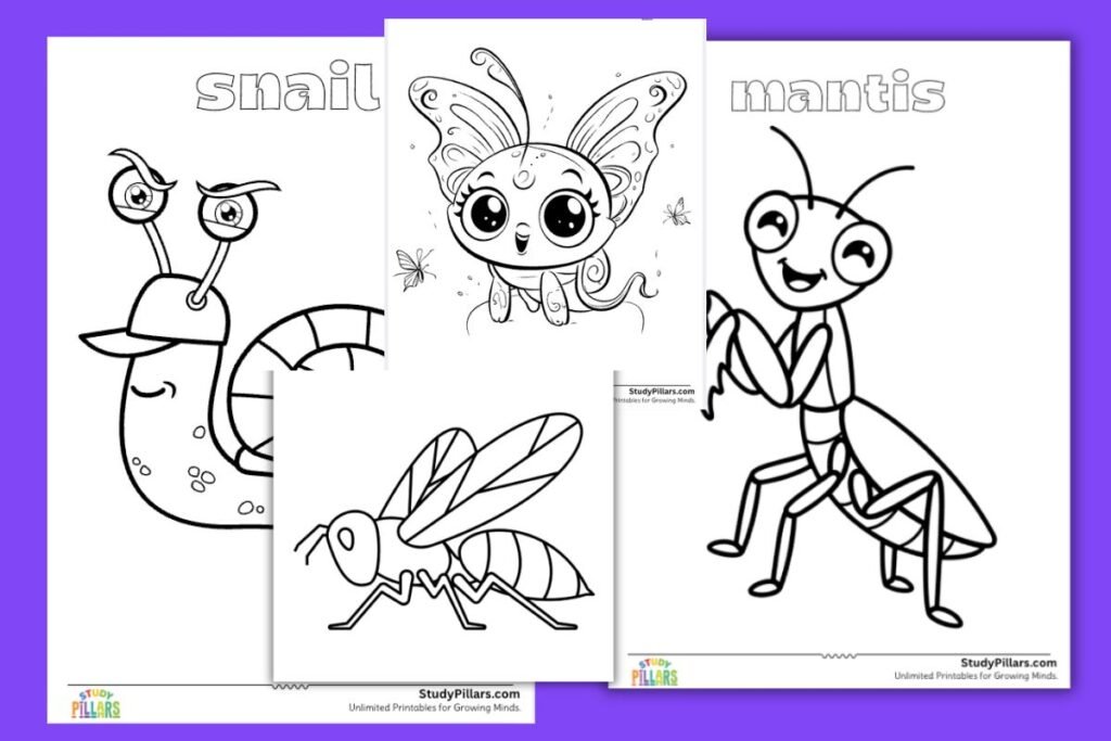insect colouring sheets